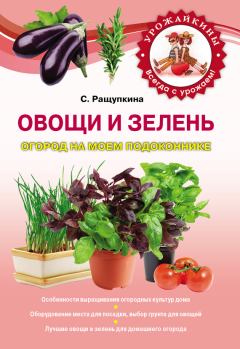 Обложка книги - Овощи и зелень. Огород на моем подоконнике - Светлана Юрьевна Ращупкина