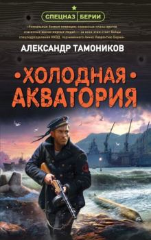 Обложка книги - Холодная акватория - Александр Александрович Тамоников