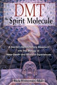Книга - ДМТ — Молекула духа. Рик Страссман - читать в ЛитВек