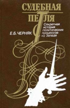 Обложка книги - Судебная петля: Секретная история политических процессов на Западе - Ефим Борисович Черняк