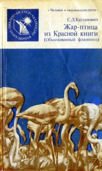 Обложка книги - Жар-птица из Красной книги. Обыкновенный фламинго - Семен Давыдович Кустанович