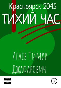Книга - Красноярск 2045: Тихий час. Тимур Джафарович Агаев - читать в Литвек