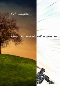 Обложка книги - Когда распахиваются крылья - Денис Юрьевич Давиденко