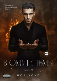 Книга - В омуте тьмы. Ноа Хоуп - читать в Литвек