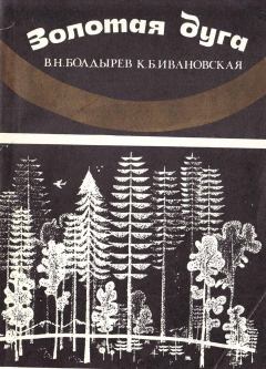 Книга - Золотая Дуга. Виктор Николаевич Болдырев - читать в ЛитВек