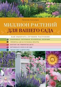 Обложка книги - Миллион растений для вашего сада - Галина Александровна Кизима
