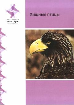 Обложка книги - Хищные птицы - Н Р Рубинштейн