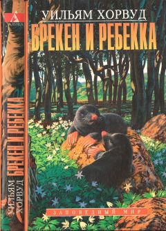 Обложка книги - Брекен и Ребекка - Уильям Хорвуд