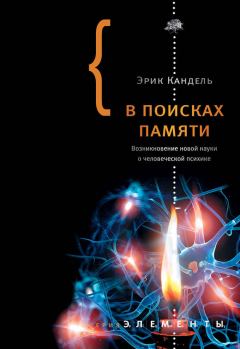 Книга - В поисках памяти: Возникновение новой науки о человеческой психике. Эрик Ричард Кандель - читать в ЛитВек