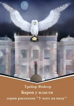 Обложка книги - Барон у власти - Требор Фейгер