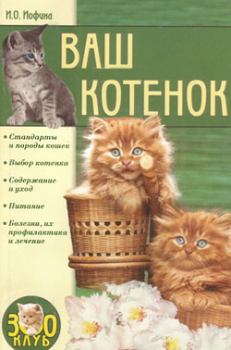 Обложка книги - Ваш котенок - Ирина Олеговна Иофина
