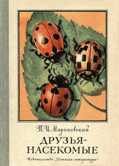 Книга - Друзья-насекомые. Павел Иустинович Мариковский - читать в Литвек