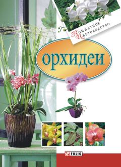 Обложка книги - Орхидеи - Мария Павловна Згурская