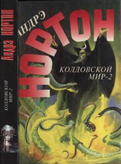 Обложка книги - Колдовской мир — 2 (Поворот): Бури победы - Андрэ Мэри Нортон