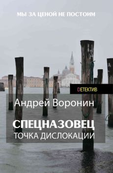 Обложка книги - Точка дислокации - Андрей Воронин