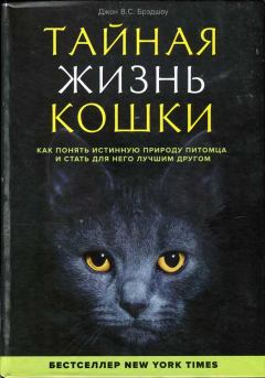 Обложка книги - Тайная жизнь кошки. Как понять истинную природу питомца и стать для него лучшим другом - Джон Брэдшоу
