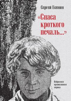 Обложка книги - «Спаса кроткого печаль…». Избранная православная лирика - Захар Прилепин