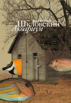 Книга - Аквариум (сборник). Евгений Александрович Шкловский - читать в ЛитВек