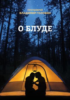 Обложка книги - О блуде - Владимир Андреевич Головин