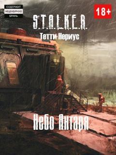 Обложка книги - S.T.A.L.K.E.R. Небо Янтаря (СИ) - Тетти Нериус