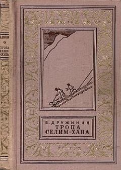 Книга - Тропа Селим-хана. Владимир Николаевич Дружинин - читать в Литвек
