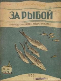 Книга - За рыбой. Борис Иванович Иноземцев (иллюстратор) - прочитать в Литвек