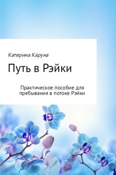 Обложка книги - Путь в Рэйки - Катерина Каруна