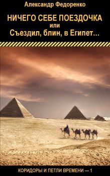 Книга - Ничего себе поездочка или Съездил, блин, в Египет.... Александр Владимирович Федоренко - читать в Литвек