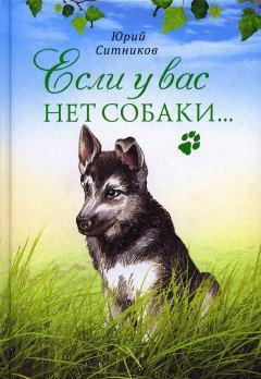 Книга - Если у вас нет собаки…. Юрий Вячеславович Ситников - читать в Литвек