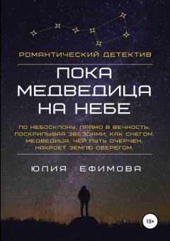 Обложка книги - Пока медведица на небе - Юлия Ефимова