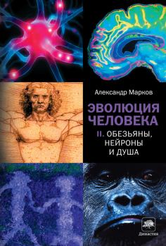 Книга - Обезьяны, нейроны и душа. Александр Владимирович Марков - читать в ЛитВек