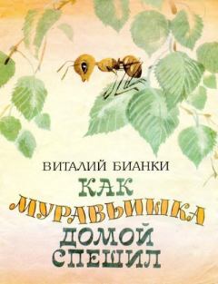 Обложка книги - Как муравьишка домой спешил - Виталий Валентинович Бианки