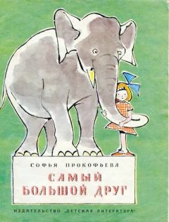 Обложка книги - Самый большой друг - Софья Леонидовна Прокофьева