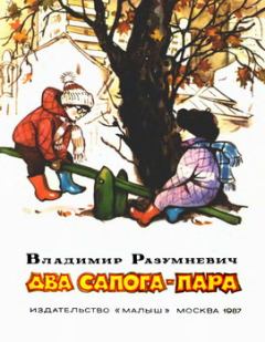 Книга - Два сапога — пара. Владимир Лукьянович Разумневич - читать в Литвек