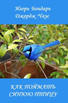 Обложка книги - Как поймать синюю птицу - Игорь Бондарь
