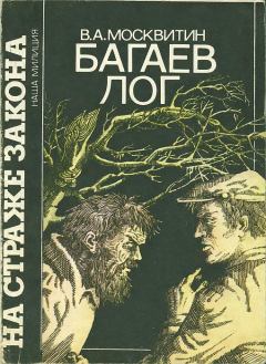 Книга - Багаев лог. Валерий Андреевич Москвитин - читать в Литвек