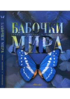 Книга - Бабочки мира.  Коллектив авторов - читать в Литвек