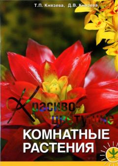 Книга - Красивоцветущие комнатные растения. Дарья Викторовна Князева - читать в ЛитВек