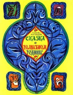 Обложка книги - Сказка о волшебном роднике - Газим-Бег Курбанович Багандов