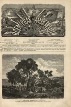 Книга - Всемирная иллюстрация, 1869 год, том 2, № 42.  журнал «Всемирная иллюстрация» - прочитать в Литвек