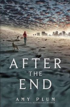 Обложка книги - После конца  - Эми Плам