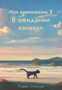 Обложка книги - В ожидании каникул - Павел Смолин