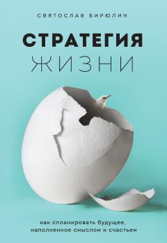 Обложка книги - Стратегия жизни. Как спланировать будущее, наполненное смыслом и счастьем - Святослав Бирюлин