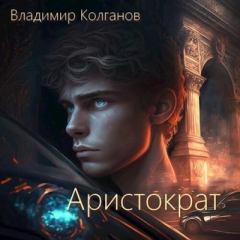 Книга - Аристократ (СИ).   (VladimirK) - читать в Литвек