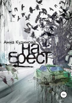 Книга - На Брест. Анна Кудинова - читать в Литвек