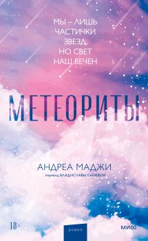Книга - Метеориты. Андреа Маджи - читать в ЛитВек