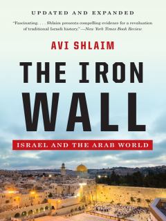 Книга - Железная стена. Израиль и арабский мир. Avi Shlaim - читать в Литвек