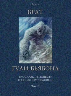 Книга - Брат гули-бьябона. Геннадий Мартович Прашкевич - читать в ЛитВек
