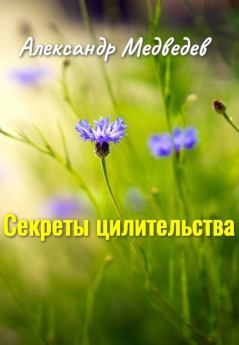 Обложка книги - Секреты целительства - Александр Николаевич Медведев