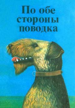 Обложка книги - Фернандо, совсем необычный пес - Дитрих Росс